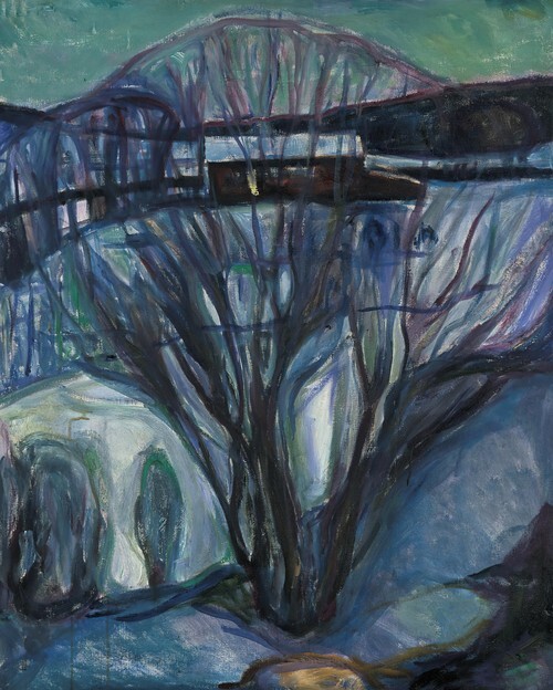 Winter Night