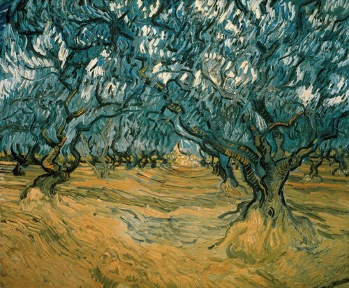 Olive Trees
