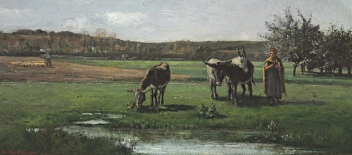 Donkeys on pasture