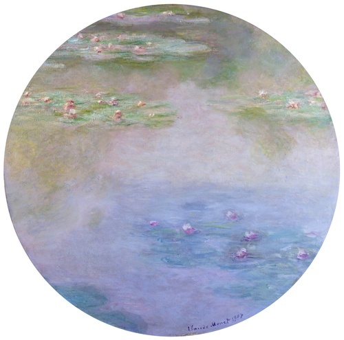 Water Lilies