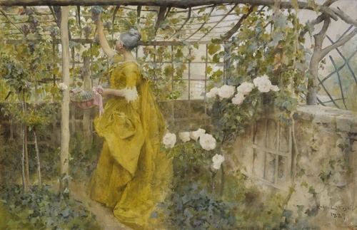The Vine
