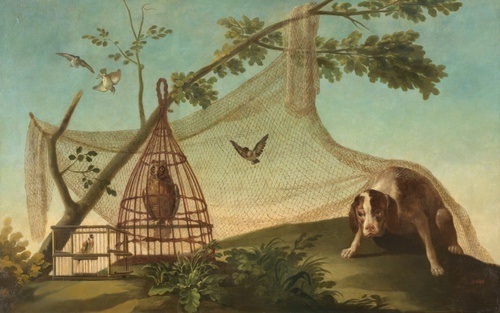 Decoy Hunting