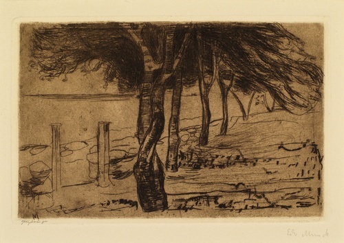Beach Landscape 1902