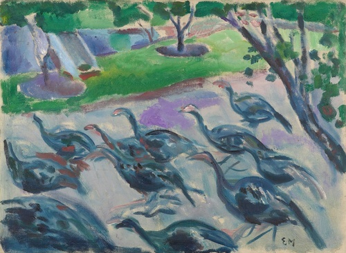 Turkeys