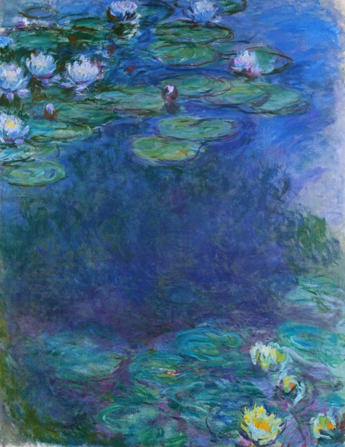 Water Lilies