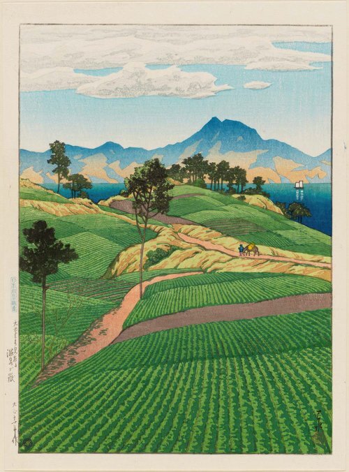 View of Onsen-ga-take from Amakusa