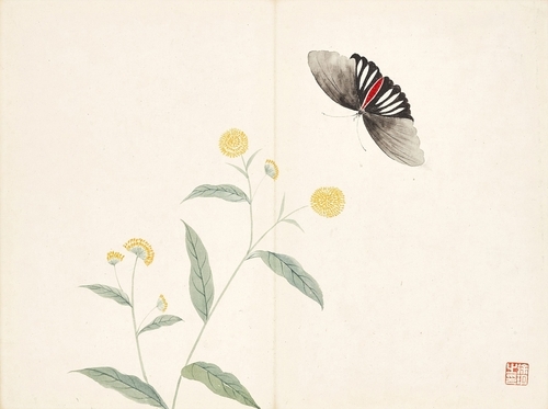 Botanical Harmony