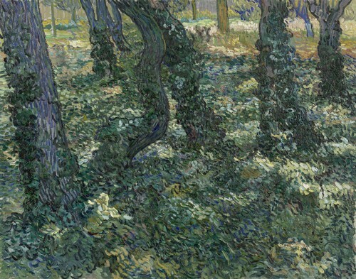 Sotto la vegetazione
