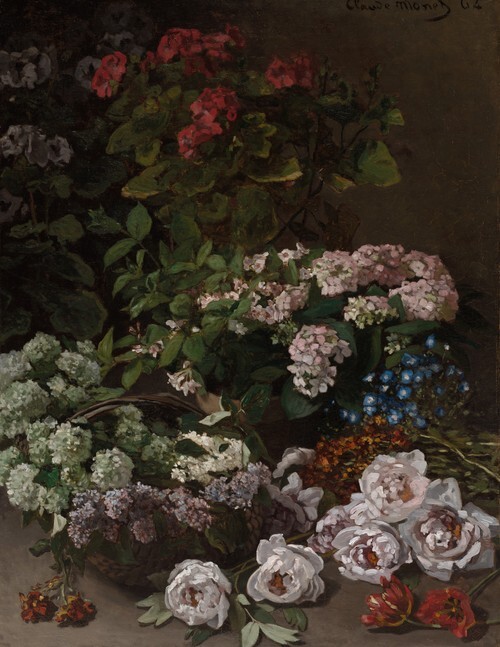 Fleurs de printemps
