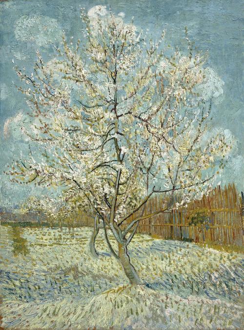 The pink peach tree