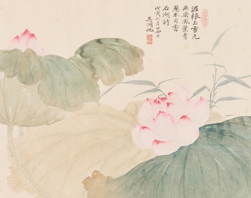 Lotus in Front of the House