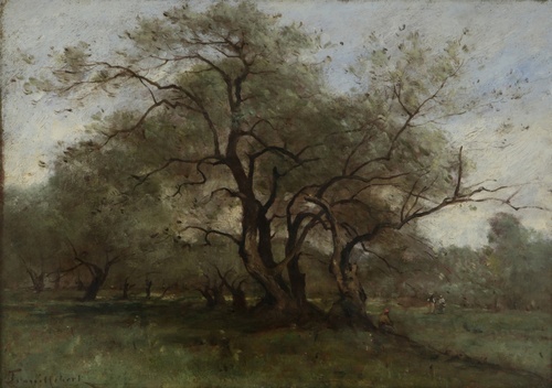 Paesaggio