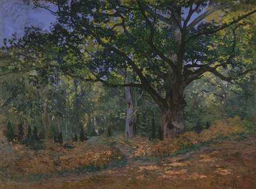 La quercia di Bodmer, Foresta di Fontainebleau