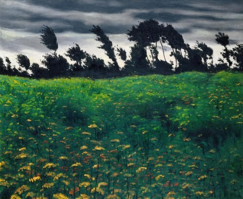 Flowering Field