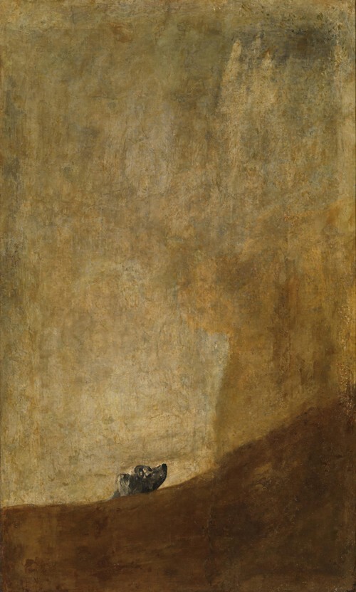 The Dog