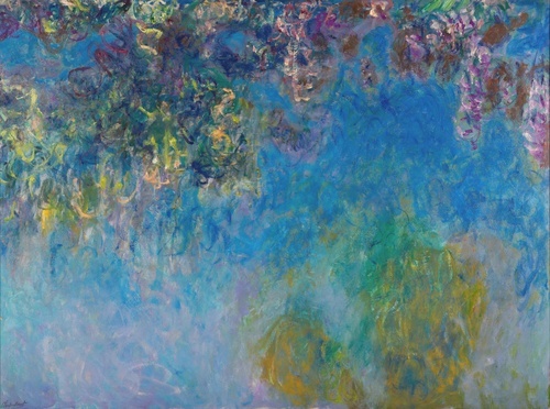 Wisteria