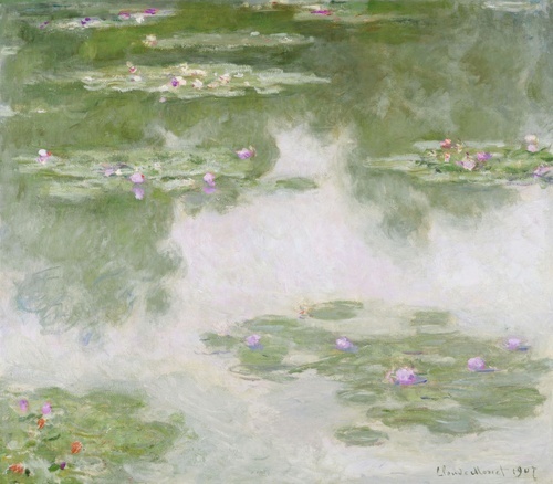 Water Lilies