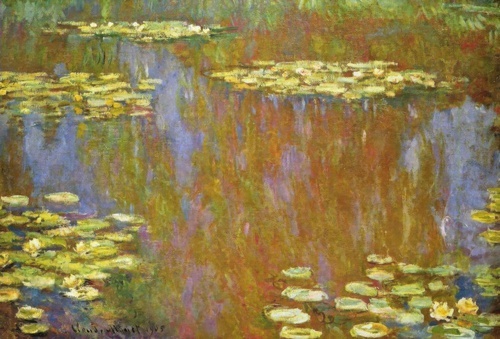 Water Lilies