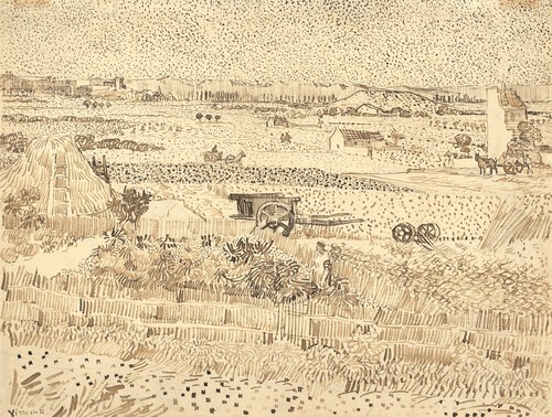 Harvest--The Plain of La Crau