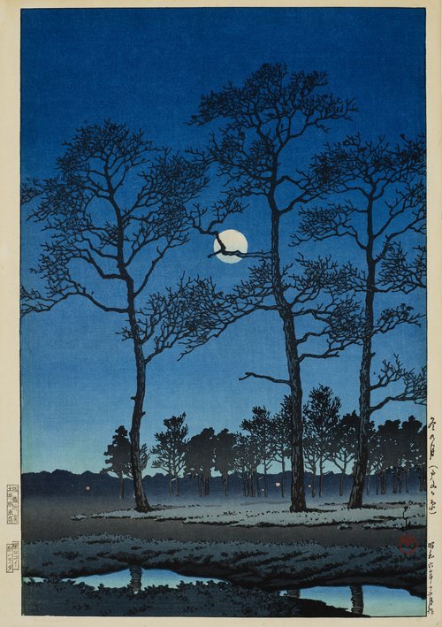 Luna d'inverno, Dohyōbara