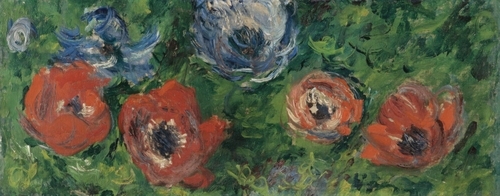 Anemones