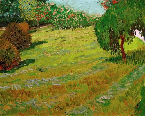 Sunny Lawn in a Public Park