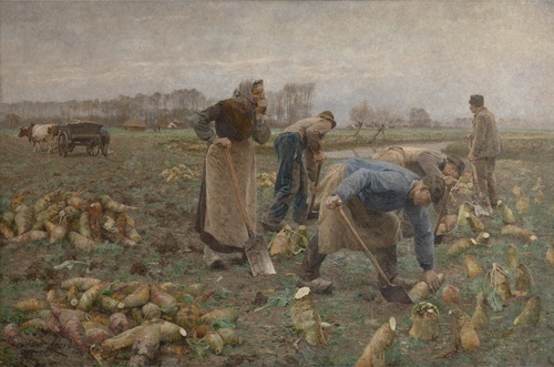 Sklizeň Řepy 1895
