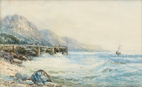 Coastal Landscapes