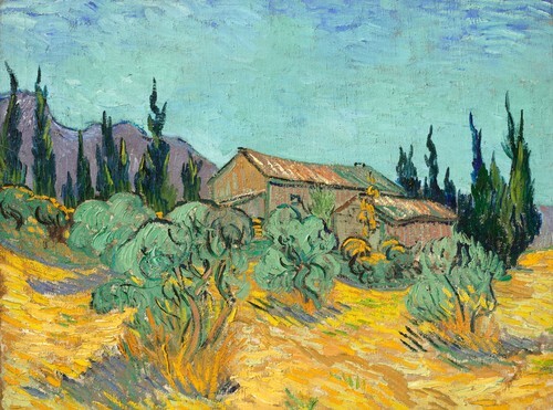 Huts surrounded by olive trees and cypresses