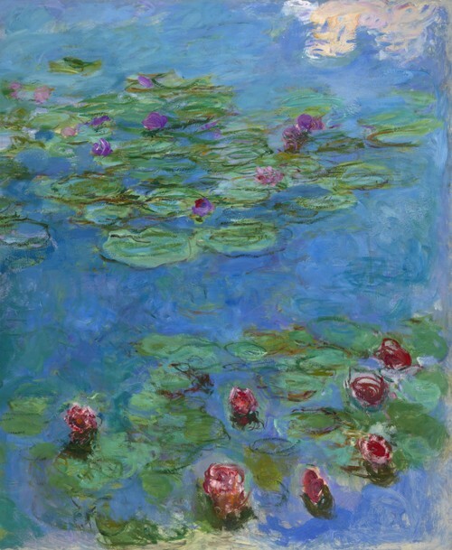 Water Lilies