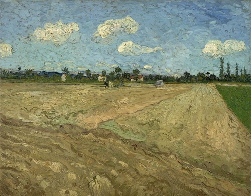 Ploughed fields ('The furrows')