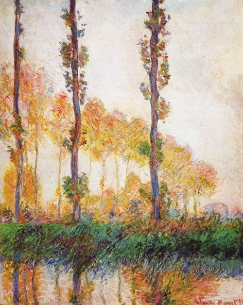 Poplars (Autumn)