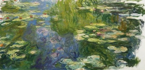 Water Lilies