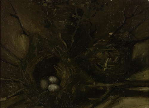 Birds' Nests