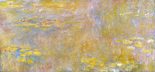 Water Lilies