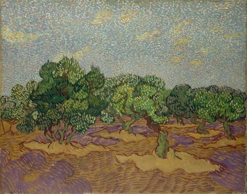 Olive Grove