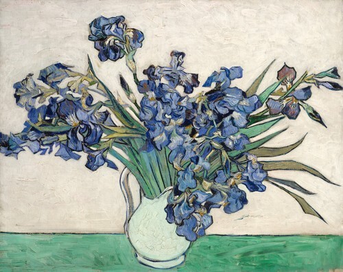 Irises