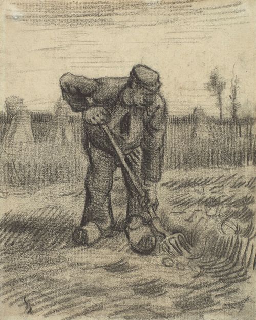 The person who harvests potatoes