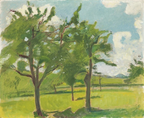 Summer Landscape