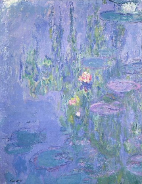 Water Lilies