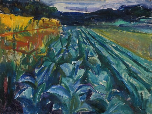 Cabbage Field