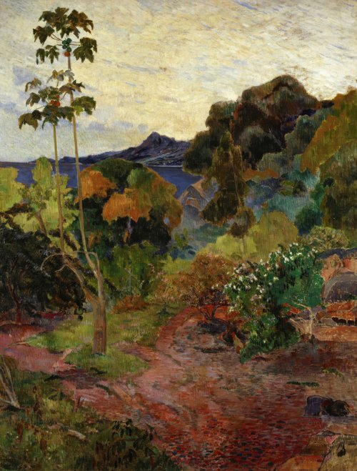 Martinique Landscape