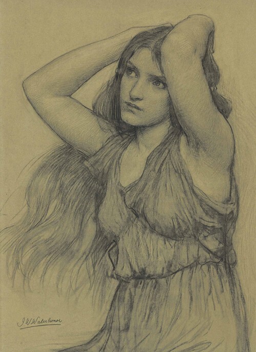 Flora