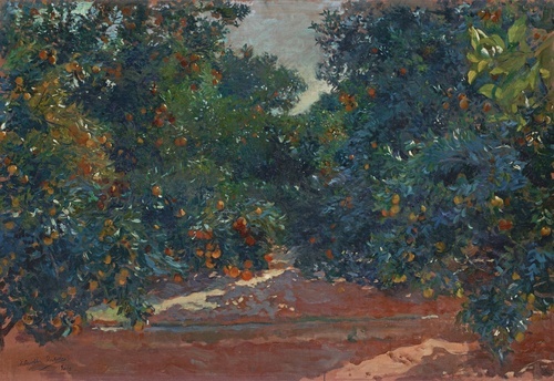 Naranjos de Alcira