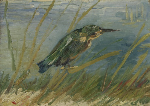 Kingfisher by the Waterside