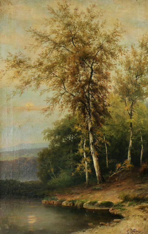 Birch Trees by a Stream