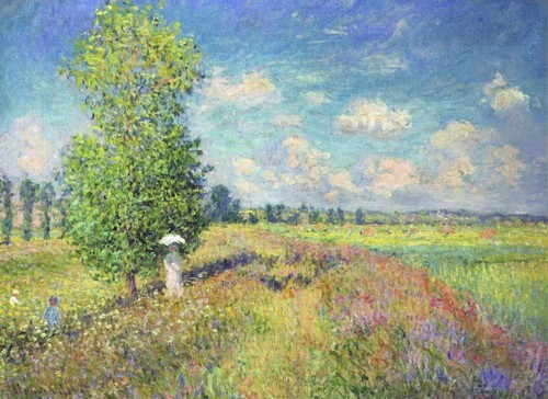 The Summer, Poppy Field