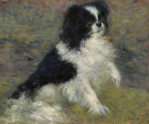 Tama, the Japanese Dog