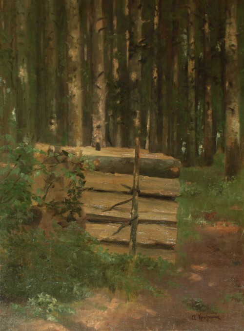 Pile of Wood in the Forest