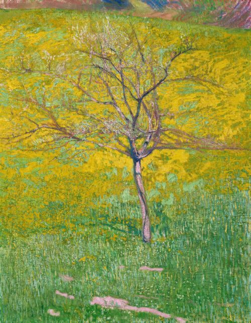 Yellow Meadow with Tree